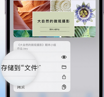 渝水apple维修中心分享iPhone文件应用中存储和找到下载文件