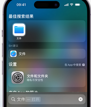 渝水apple维修中心分享iPhone文件应用中存储和找到下载文件 