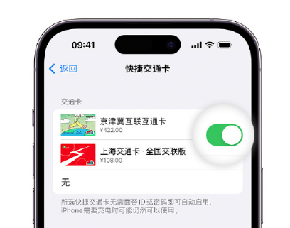 渝水apple维修点分享iPhone上更换Apple Pay快捷交通卡手绘卡面 