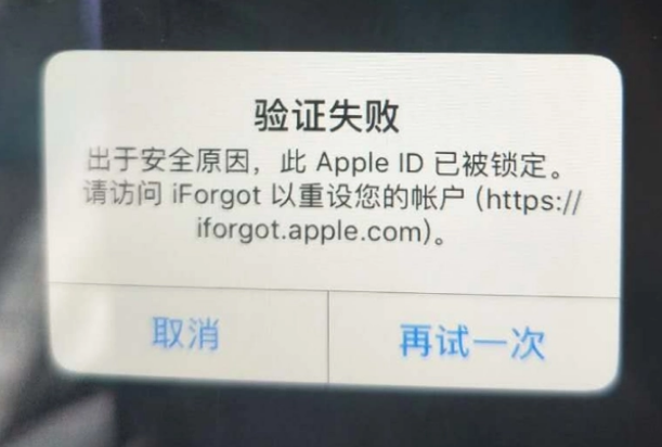 渝水iPhone维修分享iPhone上正常登录或使用AppleID怎么办 