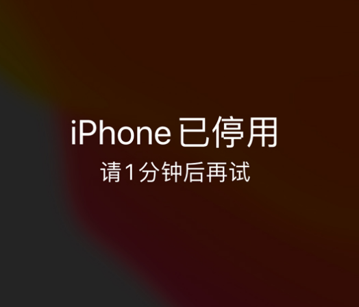 渝水苹果手机维修分享:iPhone 显示“不可用”或“已停用”怎么办？还能保留数据吗？ 