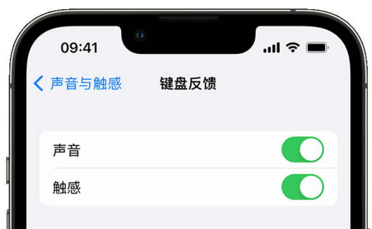 渝水苹果手机维修分享iPhone 14触感键盘使用方法 