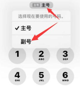 渝水苹果14维修店分享iPhone 14 Pro Max使用副卡打电话的方法 