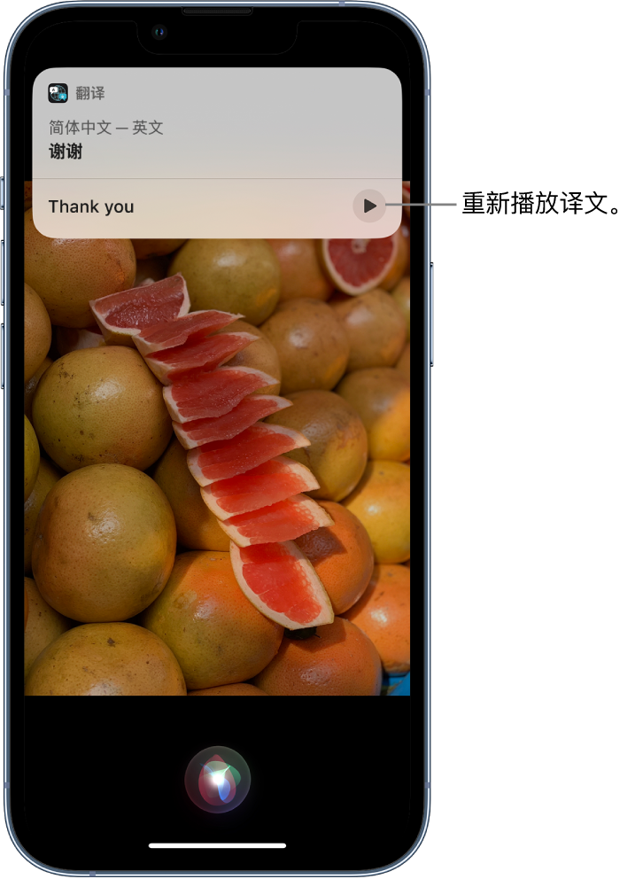 渝水苹果14维修分享 iPhone 14 机型中使用 Siri：了解 Siri 能帮你做什么 