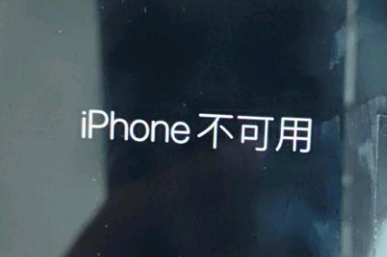 渝水苹果服务网点分享锁屏界面显示“iPhone 不可用”如何解决 