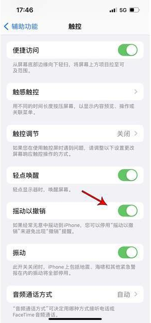 渝水苹果手机维修分享iPhone手机如何设置摇一摇删除文字 